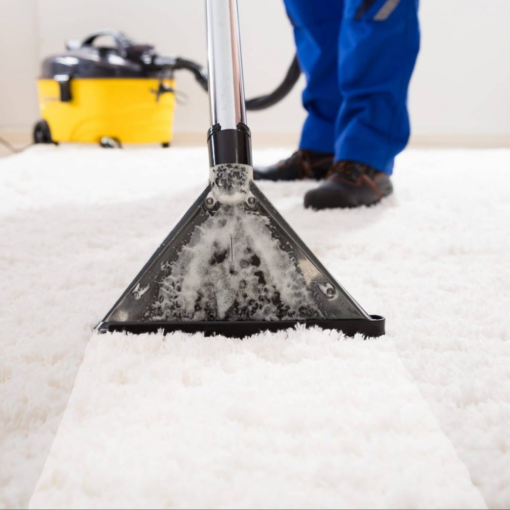 professional rug cleaning service with water extractor
